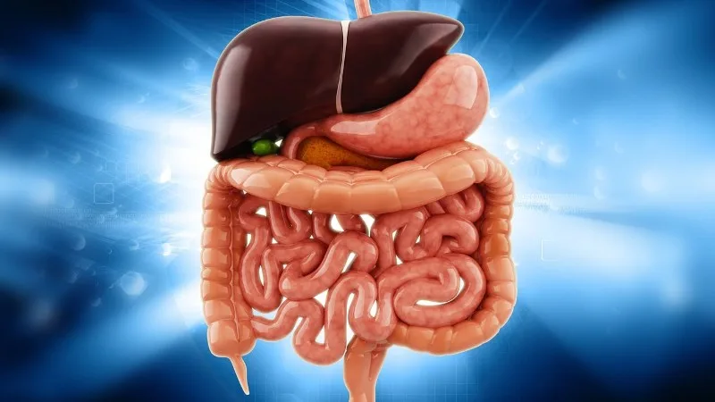 Hangi Organ İçin Nasıl Bir Detoks Uygulanmalı?