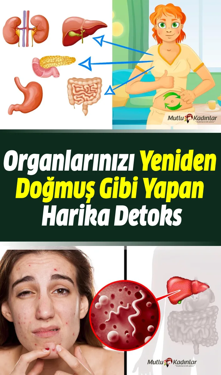 Bütün organlarınızı yeniden doğmuş gibi yapan doğal detoks